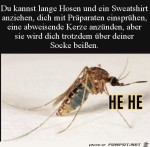 Sie-sticht-dich-trotzdem.jpg auf www.funpot.net