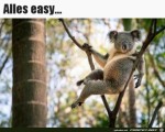 Easy-going.jpg auf www.funpot.net