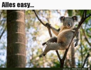 fun-Bild: Easy going