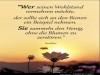 weiter