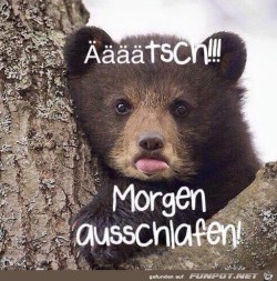 Ätsch.jpg auf www.funpot.net
