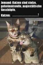 Katzen-sind-frech.jpg auf www.funpot.net