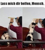 Katze-hilft.jpg auf www.funpot.net