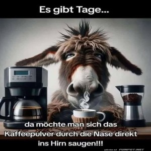 fun-Bild: Wenn Kaffee allein nicht reicht!