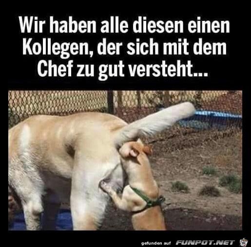 ein Kollege ein Kollege