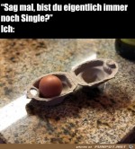 Bist-du-noch-Single?.jpg auf www.funpot.net
