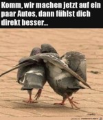 Auf-die-Autos-machen.jpg auf www.funpot.net