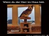 weiter