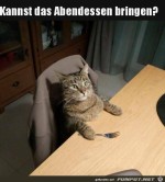 Das-Abendessen-kann-serviert-werden.jpg auf www.funpot.net