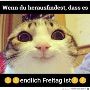 fun-Bild: Endlich Freitag