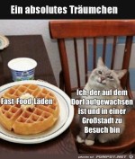 Ein-Trumchen.jpg auf www.funpot.net