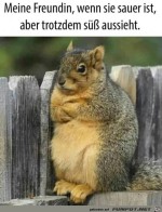 Trotzdem-s.jpg auf www.funpot.net