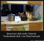 Verabschiede-dich-vom-Hund.jpg auf www.funpot.net