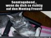 weiter