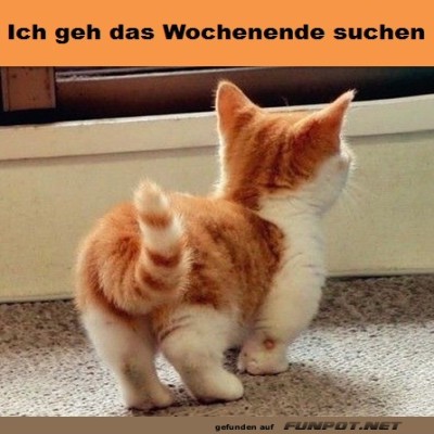 Wochenende-suchen.jpg von Nachtstern