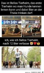 Bellos-Tierheim.jpg auf www.funpot.net