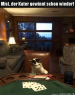 Der-Kater-gewinnt.jpg auf www.funpot.net