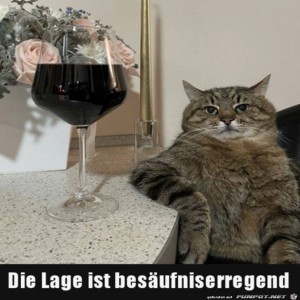 fun-Bild: Es ist besäufniserregend