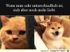 weiter