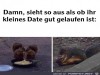 weiter