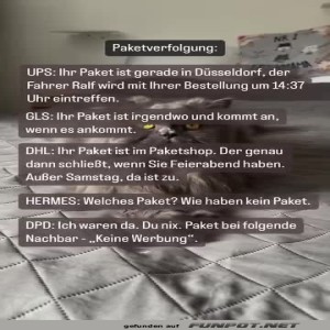 fun-Bild: Die Paketverfolgung
