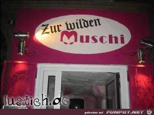 Muschi Muschi