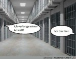 Ich-will-einen-Anwalt.jpg auf www.funpot.net