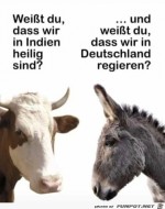 Gesprch-unter-Tieren.jpg auf www.funpot.net