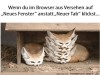 weiter