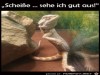 weiter