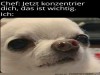 weiter