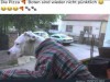 weiter