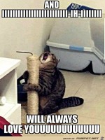 Katze-singt.jpg auf www.funpot.net
