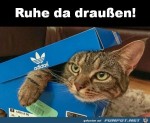 Ruhe-da-drauen.jpg auf www.funpot.net