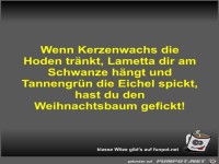 Wenn Kerzenwachs die Hoden tr�nkt