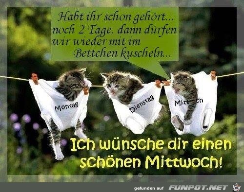 kuscheln kuscheln