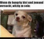 Hund-hat-Hunger.jpg auf www.funpot.net