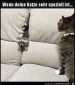 Spezielle-Katze.jpg auf www.funpot.net