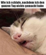 Sehr-mde.jpg auf www.funpot.net