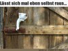 weiter