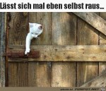 Kurz-mal-selbst-die-Tre-ffnen.jpg auf www.funpot.net