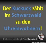 Der-Kuckuck.jpg auf www.funpot.net