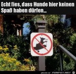 Hunde-drfen-keinen-Spa-haben.jpg auf www.funpot.net