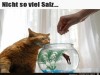 weiter