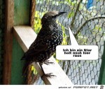 Holt-mich-hier-raus.jpg auf www.funpot.net