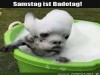 weiter