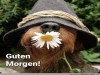 weiter