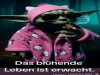weiter