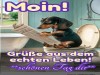 weiter