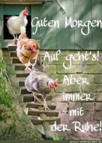 Guten-Morgen.jpg auf www.funpot.net